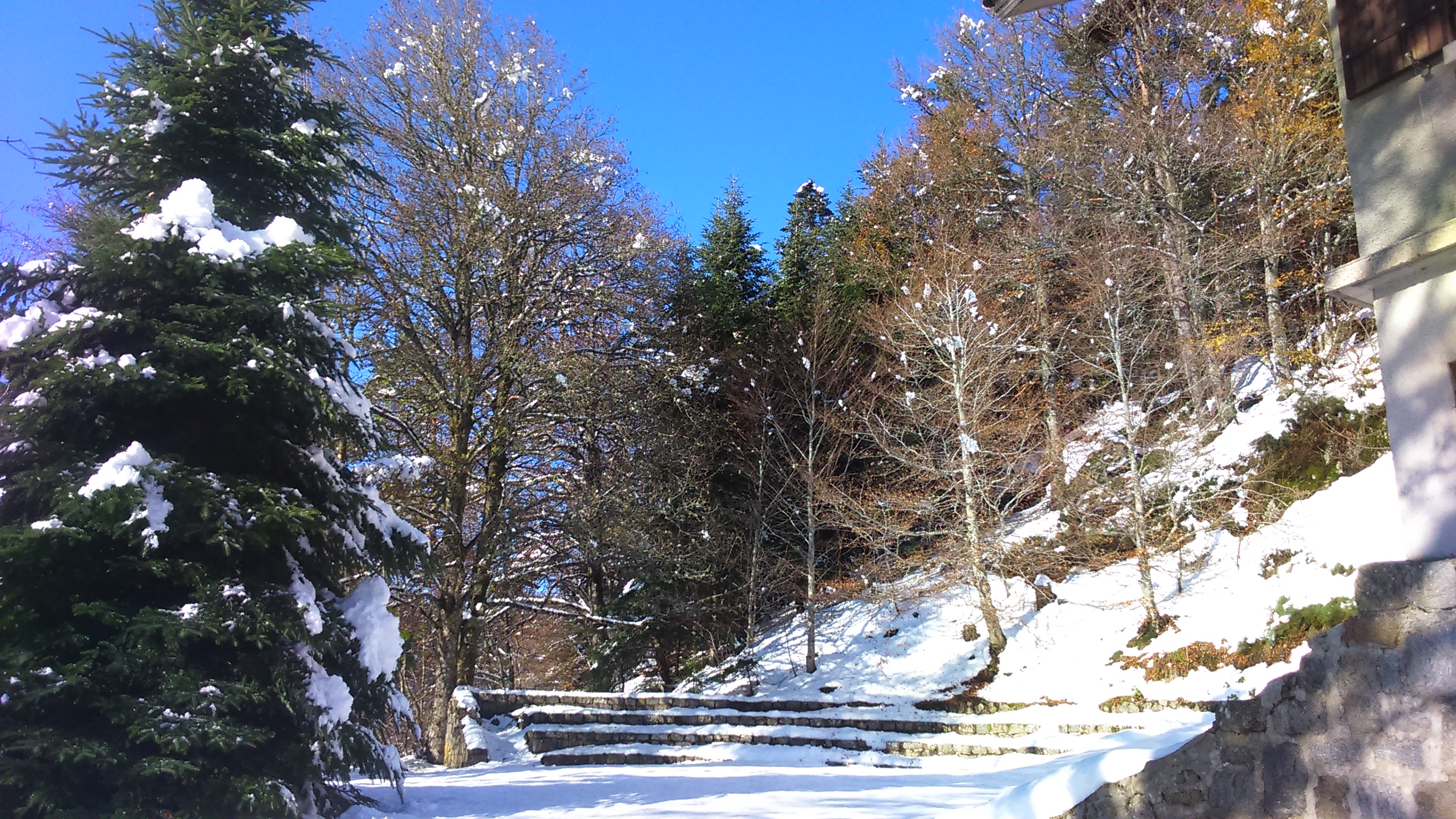 191115_Joubert_enneigé_7